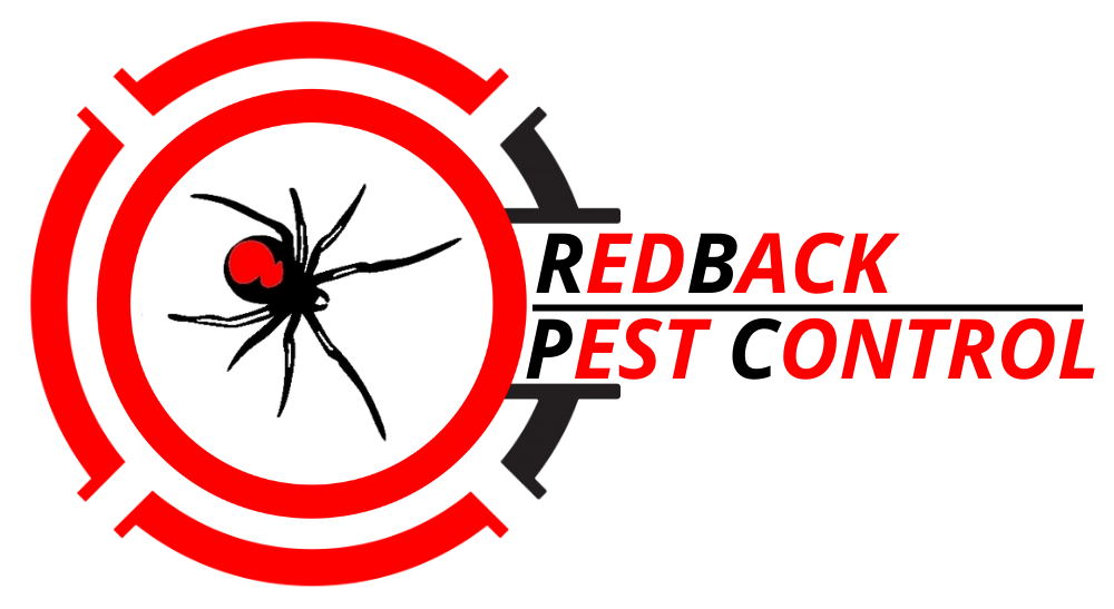 Redback Pest Control Sydney